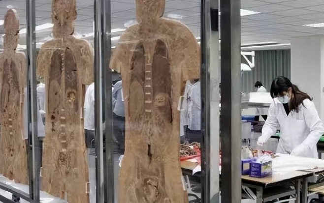 �t�W��������w�ώ���ݛՓ�WȻ��δ�����w�ώ�������